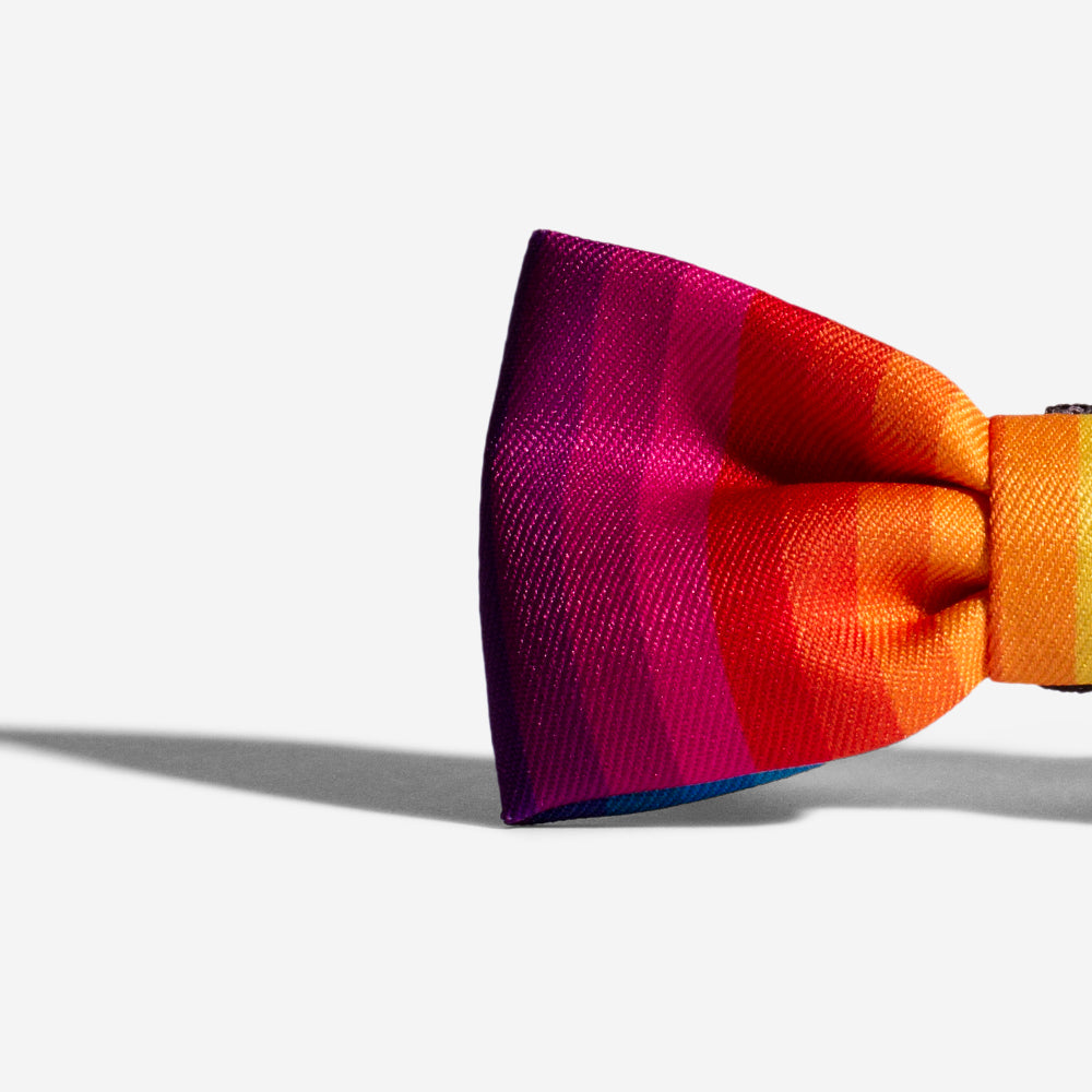 Prisma | Dog Bow Tie