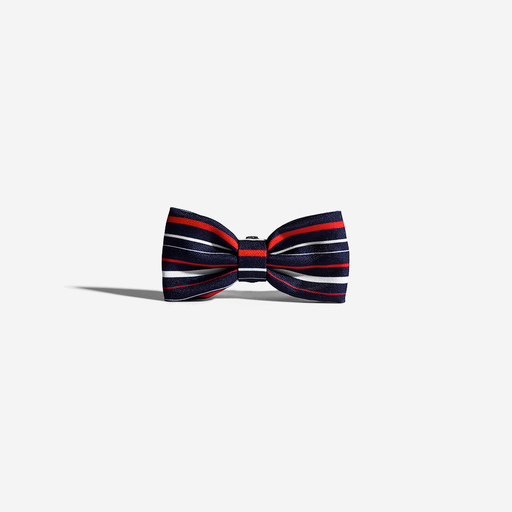 Rocket | Dog Bow Tie