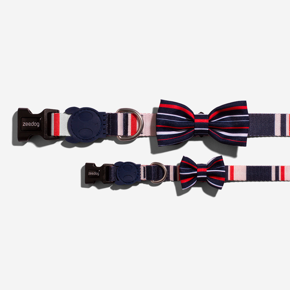 Rocket | Dog Bow Tie