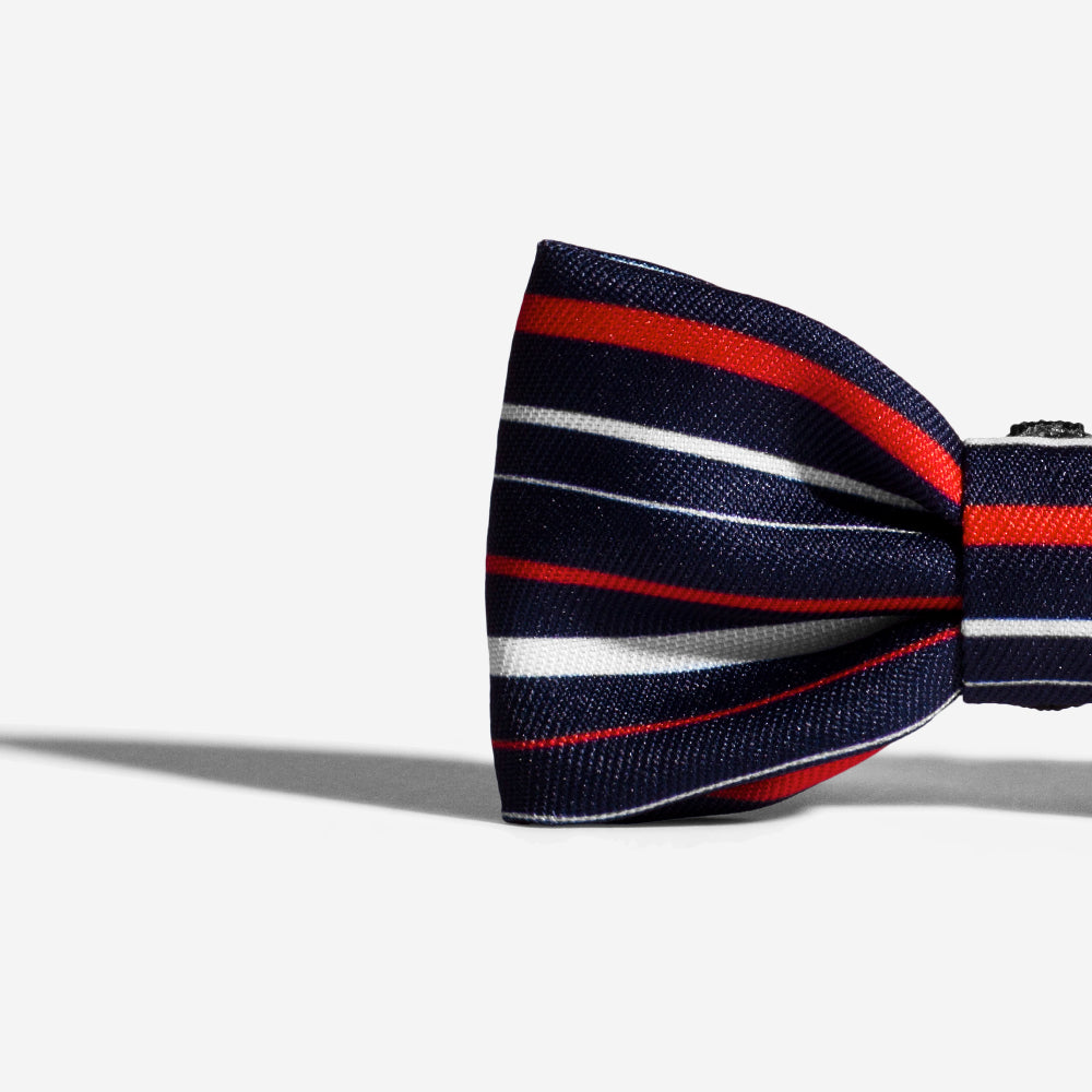 Rocket | Dog Bow Tie