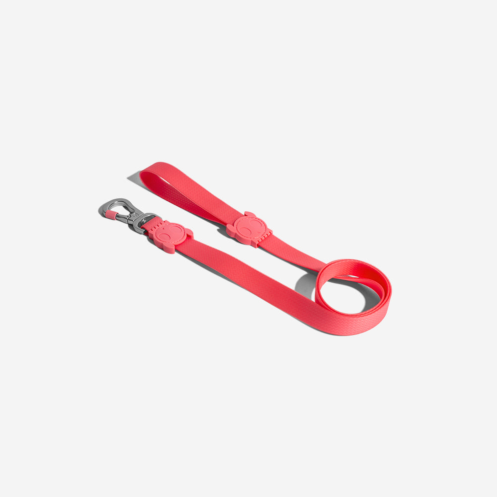 Neopro Bubblegum | Leash