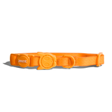 Neopro Tangerine | Collar Cat
