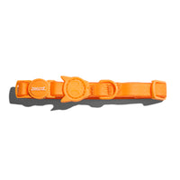 Neopro Tangerine | Collar Cat