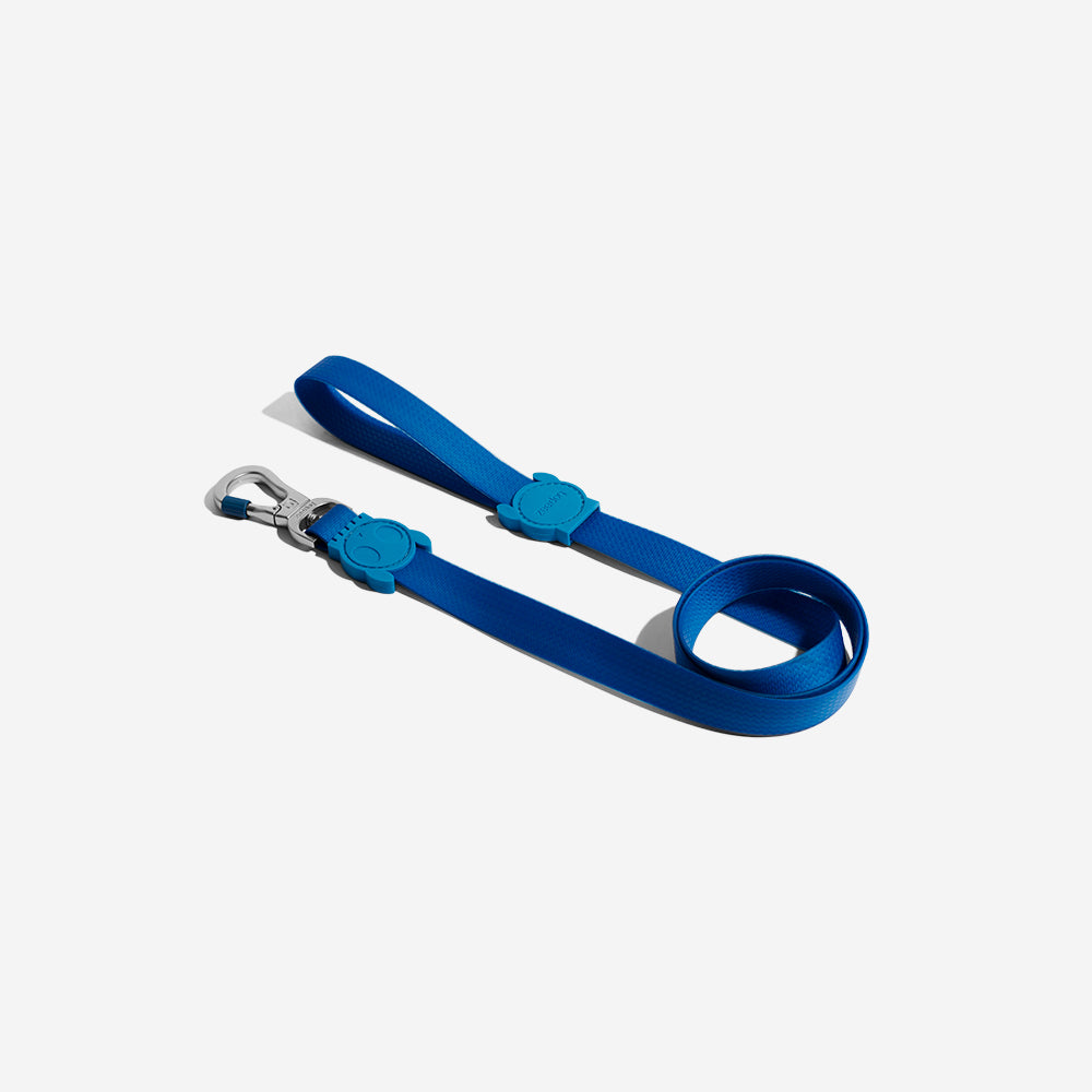 Neopro Blue | Leash