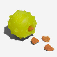 Zee.Dog Rob the Microbe Dog Toy