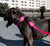 Pink LED | Adjustable Air Mesh Harness
