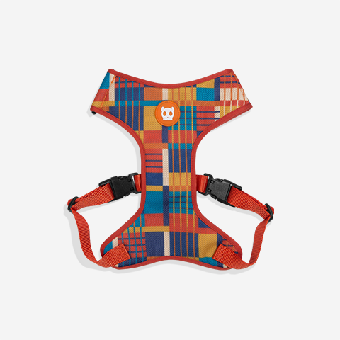 Wes | Adjustable Air Mesh Harness