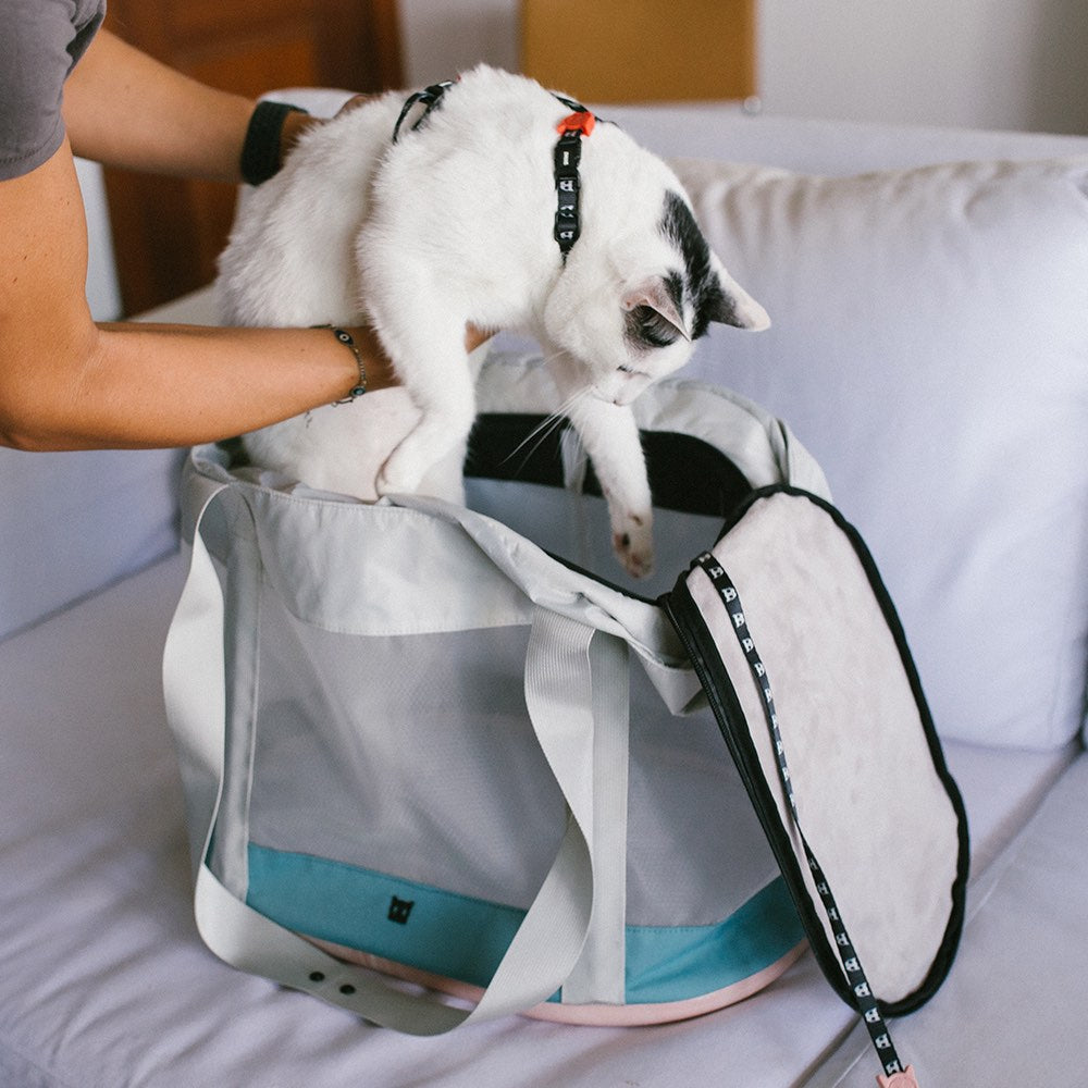 https://www.zeedog.com/cdn/shop/products/zeedog-cat-carrying-bag-kombucha_main-3_2048x2048.jpg?v=1641337743