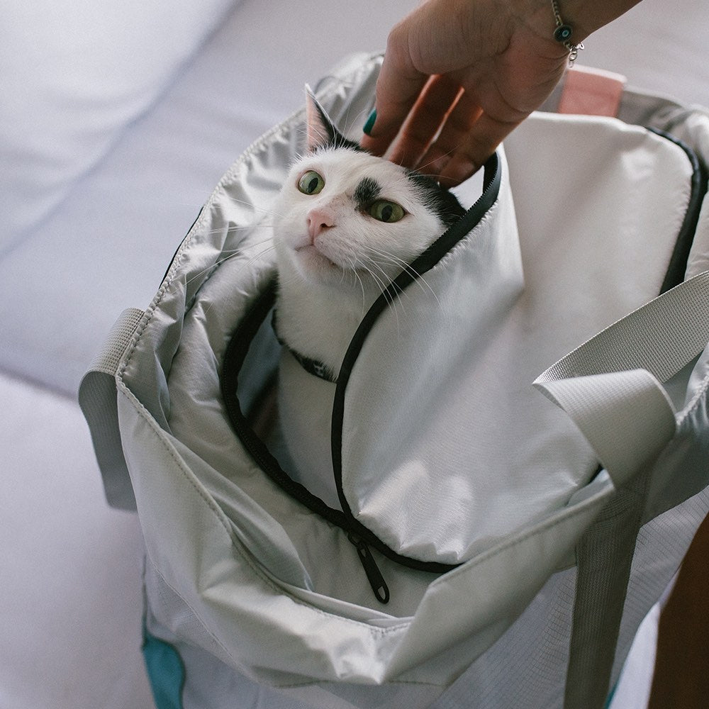 6 Best Cat Carriers for Large Cats in 2024 – tuft + paw