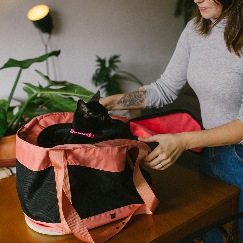 Terracotta | Cat Carrier Bag