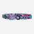 Blast | Cat Collar