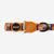 Wes | Cat Collar
