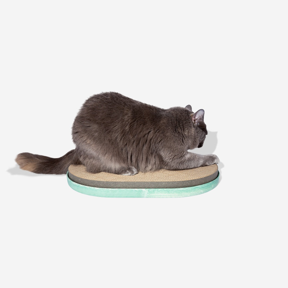 Mint | Cat Scratcher