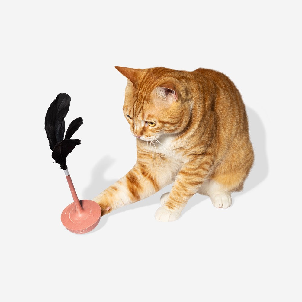 Citrus | Teaser Cat Toy