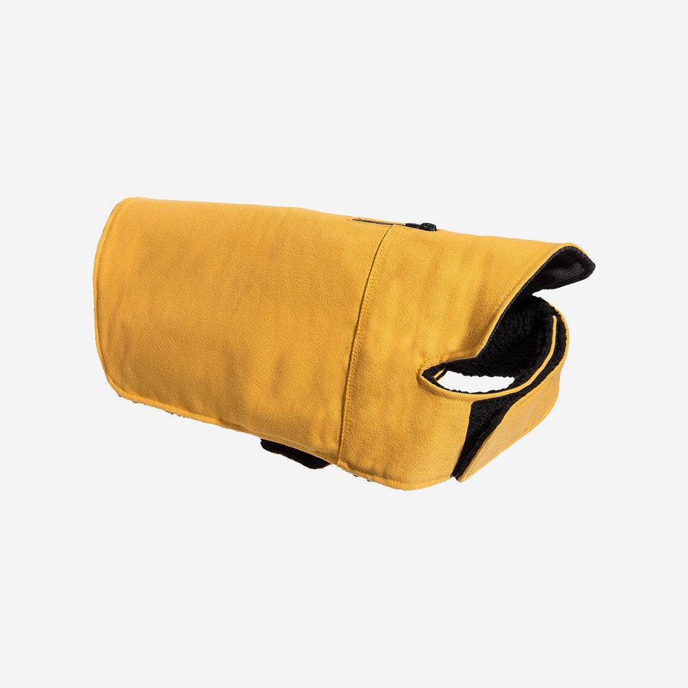 Yellow | Winter Coat