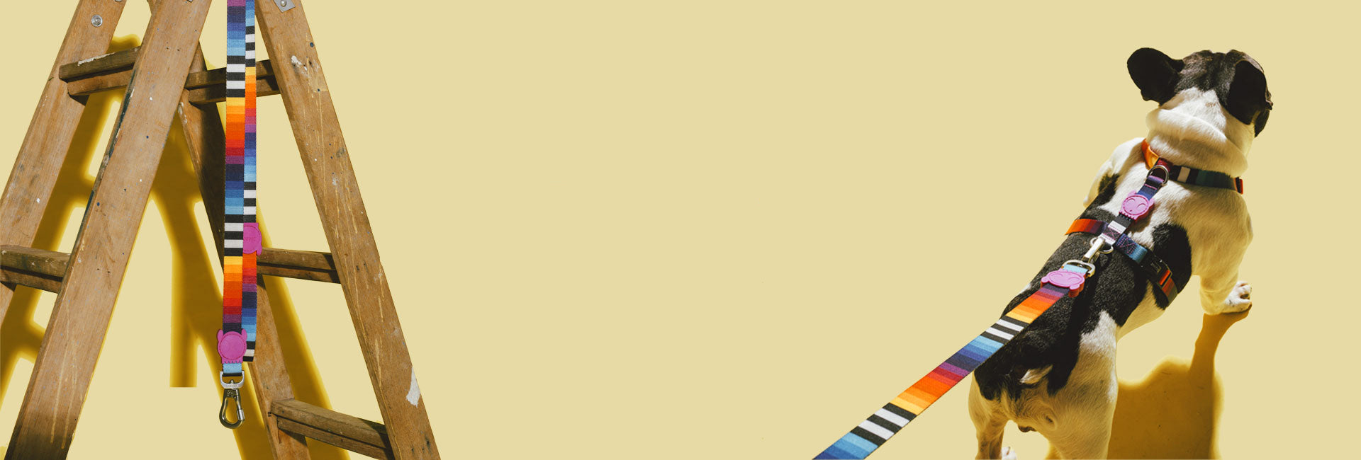 Prisma | Dog Bow Tie