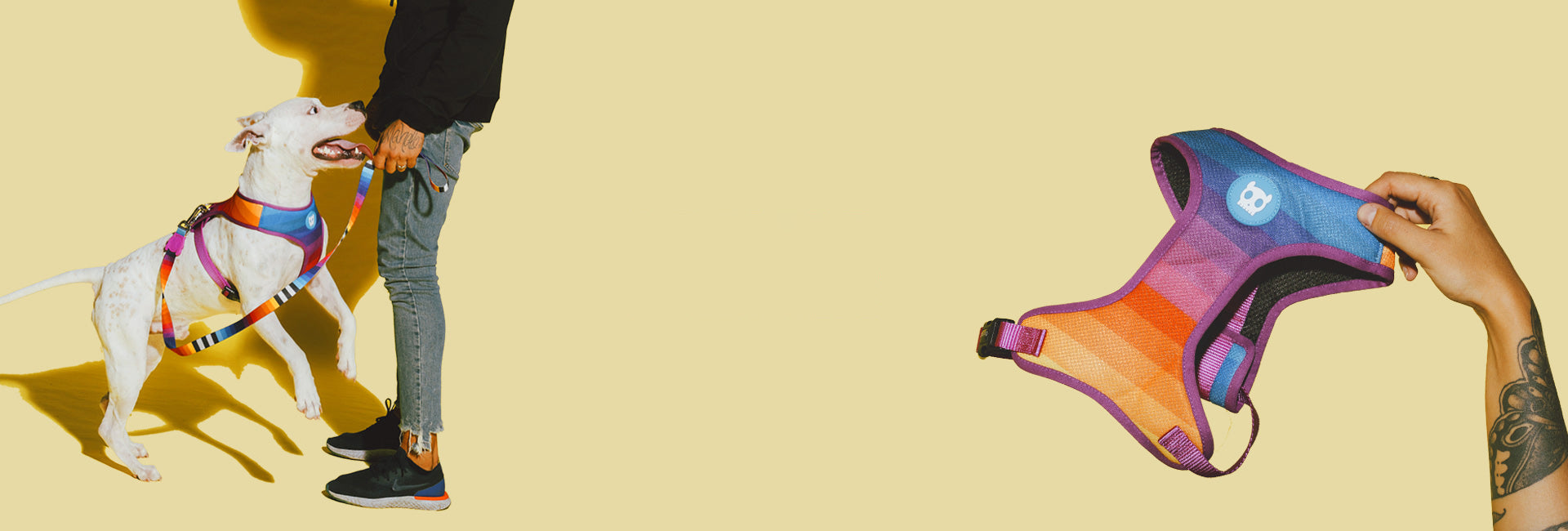 Prisma | Dog Bow Tie