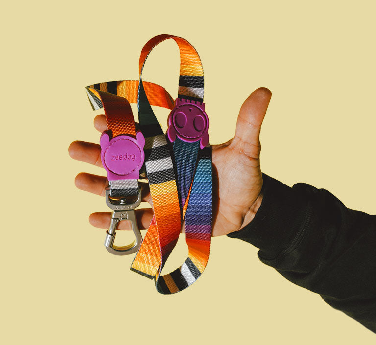 Prisma | Dog Bow Tie