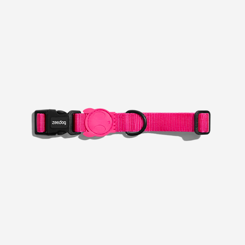 Pink LED | Collar
