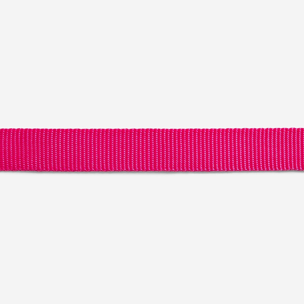 Pink LED | Collar