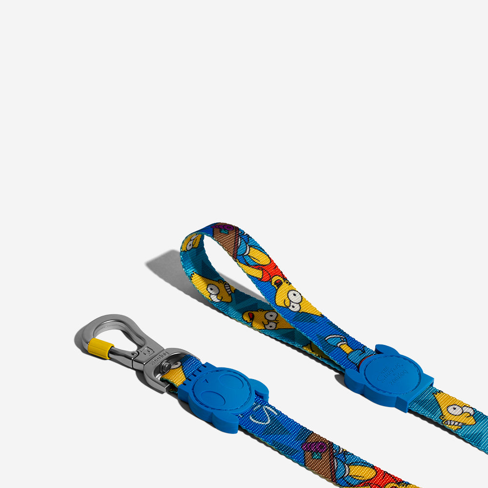 Bart Simpson | Leash