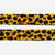 Honey | Dog Leash