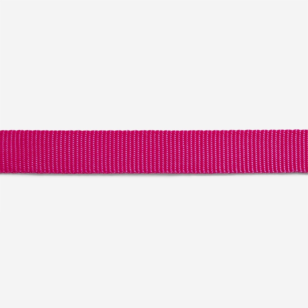 Pink LED | Leash