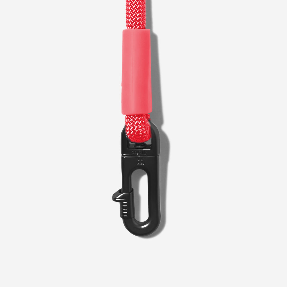 Neon Coral | Hands-Free Leash