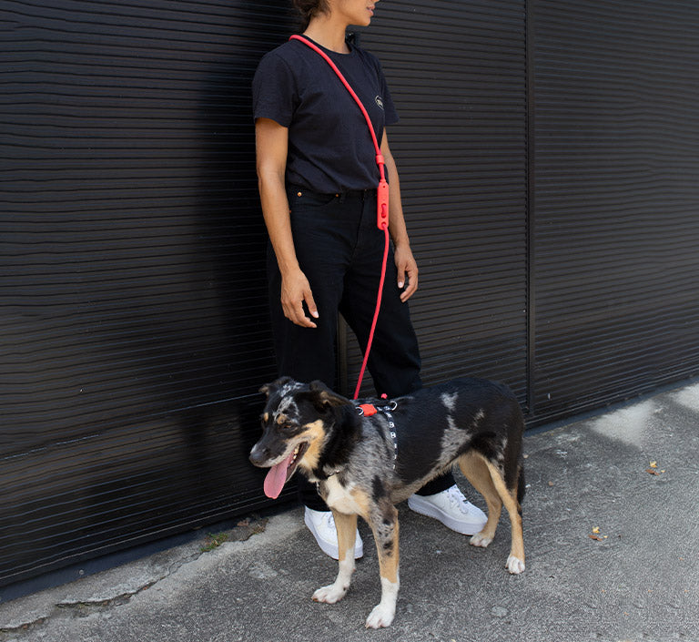 Neon Coral | Hands-Free Leash