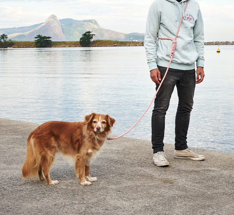 Pink Tech | Hands-Free Leash
