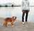 Pink Tech | Hands-Free Leash