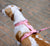Melissa x Zee.Dog Pink Cameo | H-Harness
