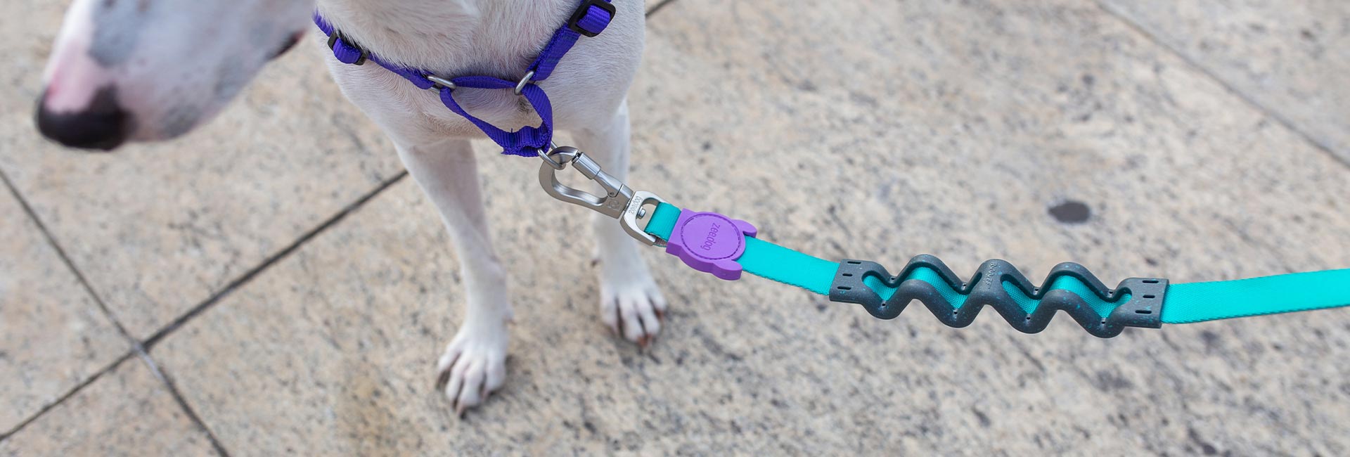 Boogie Ruff Leash 2.0