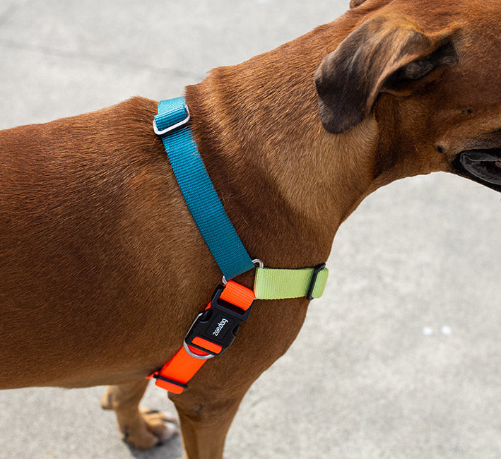 Jumper Ruff Leash 2.0