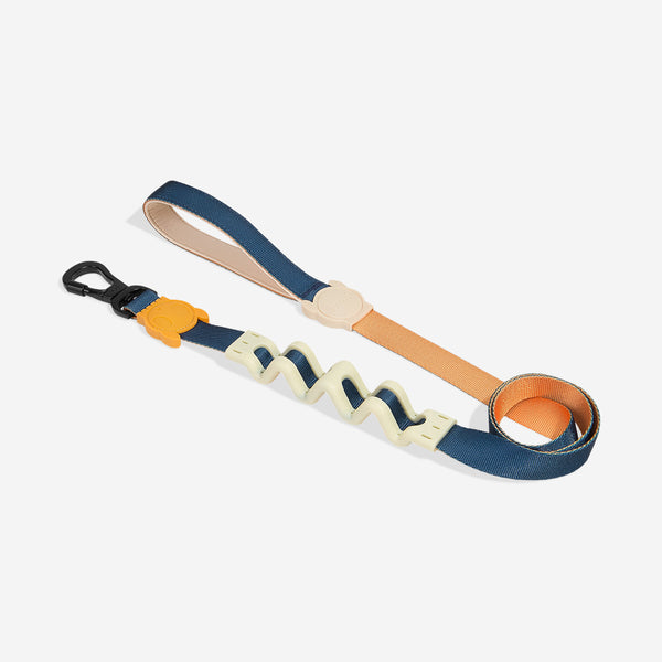 zeedog-ruff-leash-voyage_main-