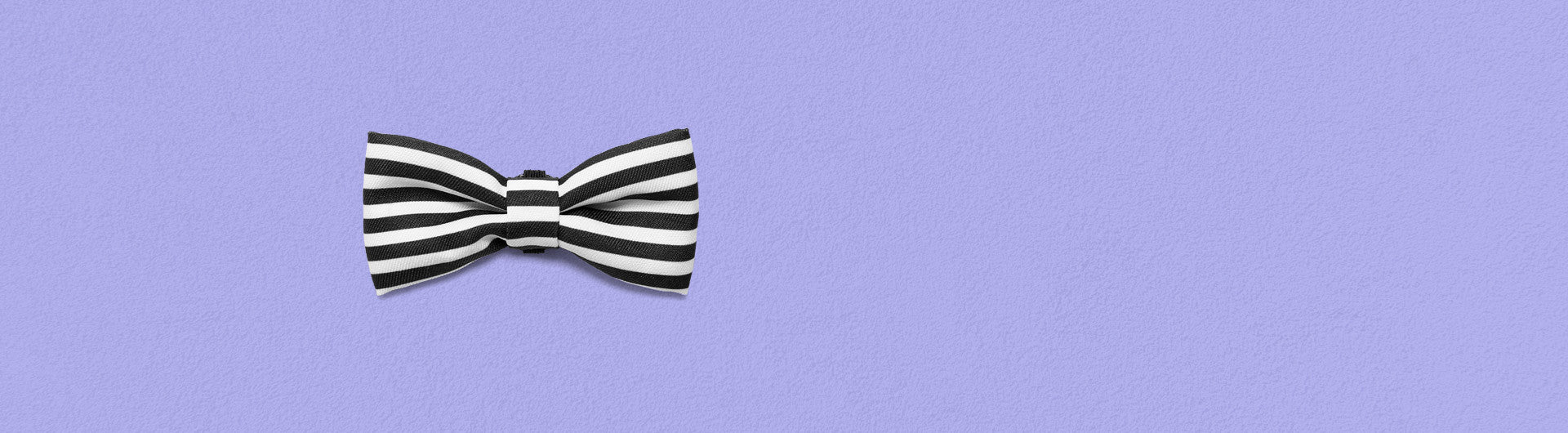 Asos Dog Bow Tie | Zee.Dog