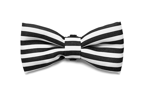 Asos | Dog Bow Tie