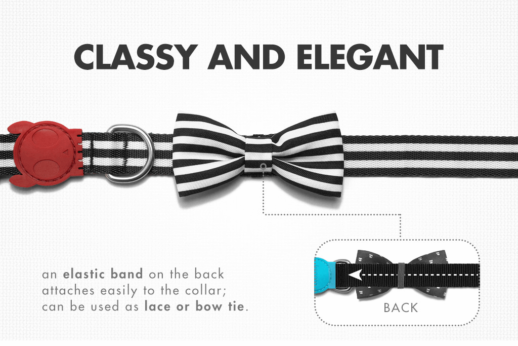 Asos Large Bow Tie | Zee.Dog