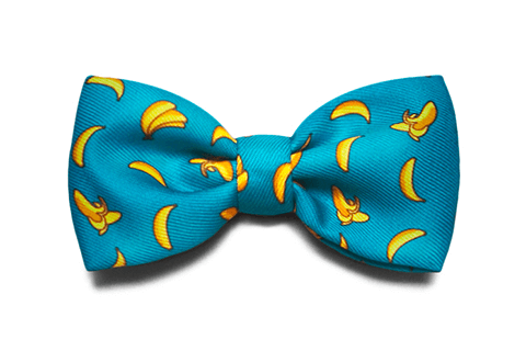 Banana Shake Dog Bow Tie | Zee.Dog