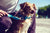 Banana Shake Dog Bow Tie | Zee.Dog