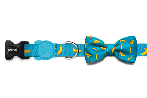 Banana Shake Dog Bow Tie | Zee.Dog