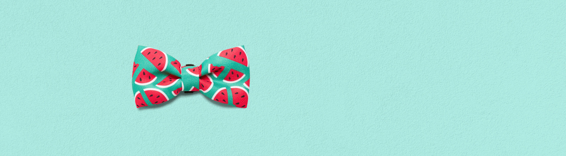 Lola Bow Tie | Zee.Dog