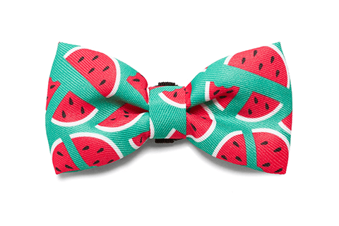 Lola Bow Tie | Zee.Dog