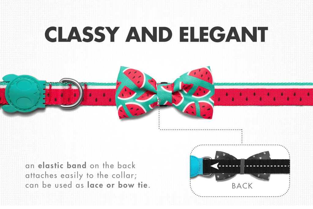 Lola Bow Tie | Zee.Dog