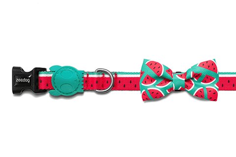 Lola Bow Tie | Zee.Dog
