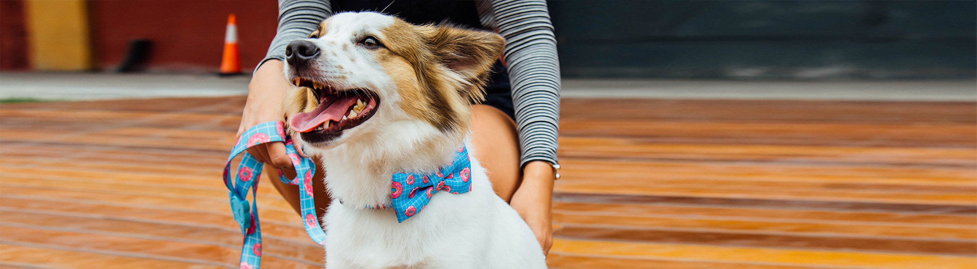Homer | Donut Dog Bow Tie