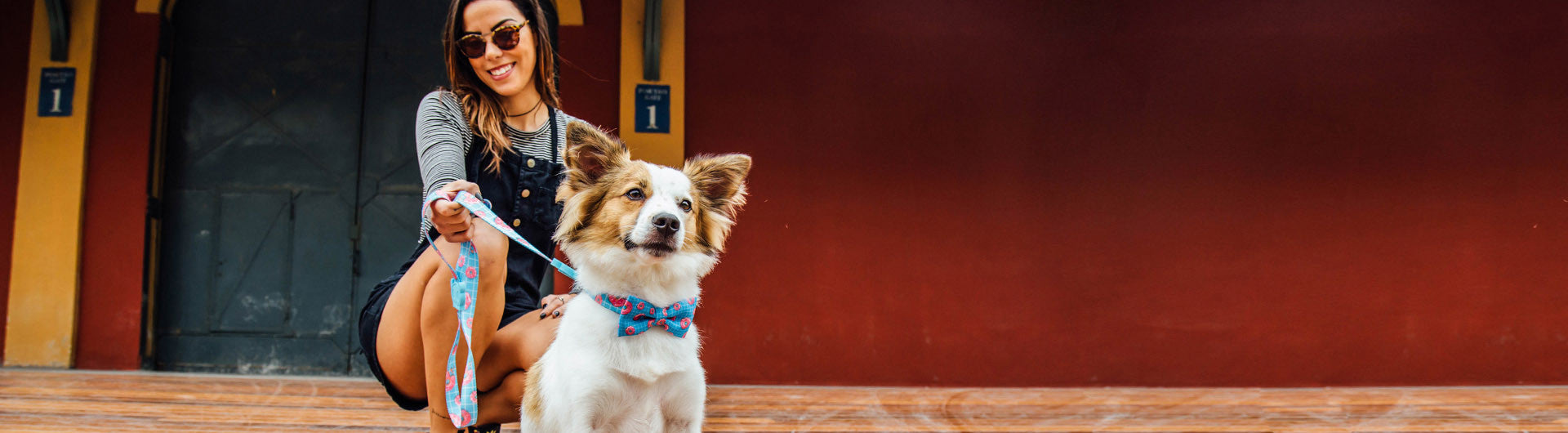 Homer | Donut Dog Bow Tie