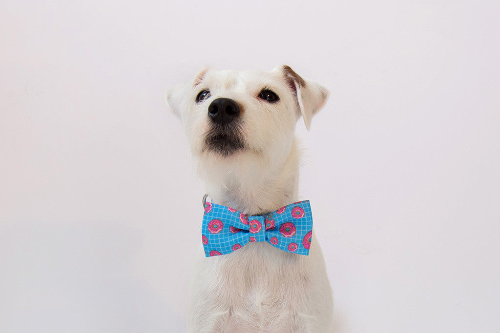 Homer | Donut Dog Bow Tie