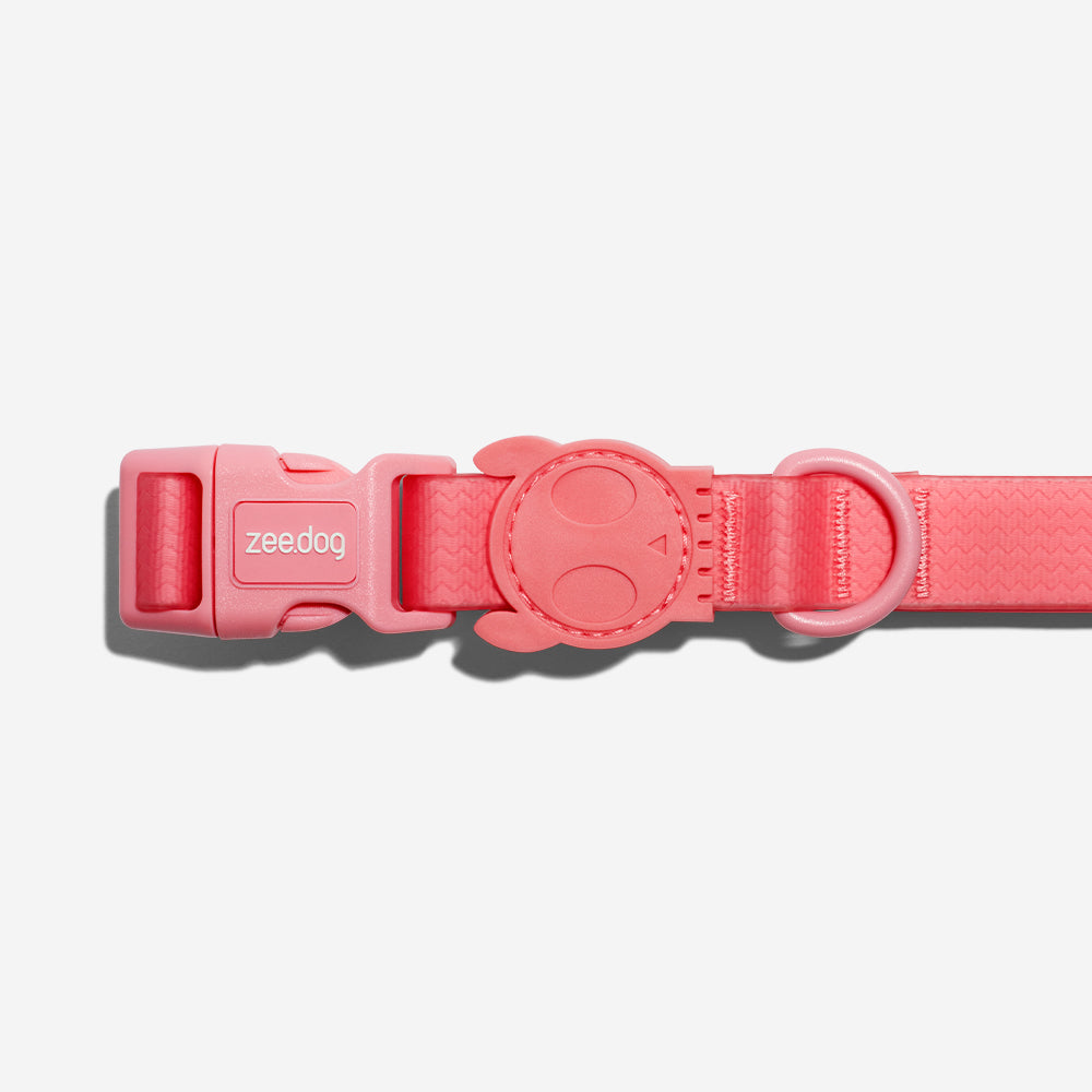 Neopro Bubblegum | Collar