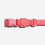 Neopro Bubblegum | Collar